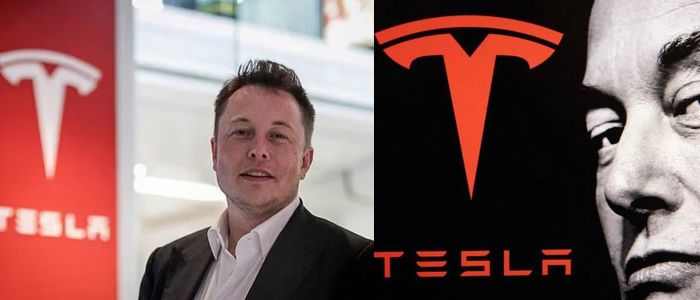 Tesla rules out EV manufacturing plans in India