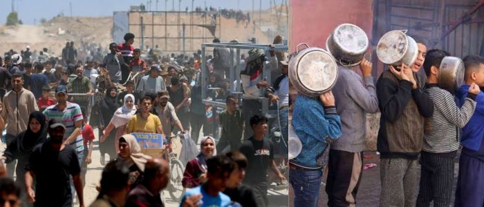 UN Official Gaza Facing Forced Starvation, Possible War Crimes
