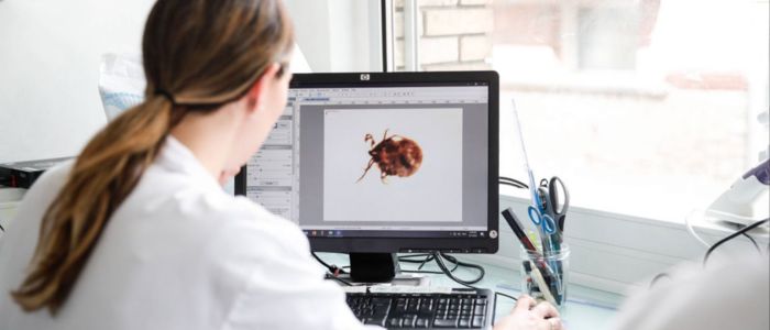 Polish University to Lead EU Tick-Borne Disease Project