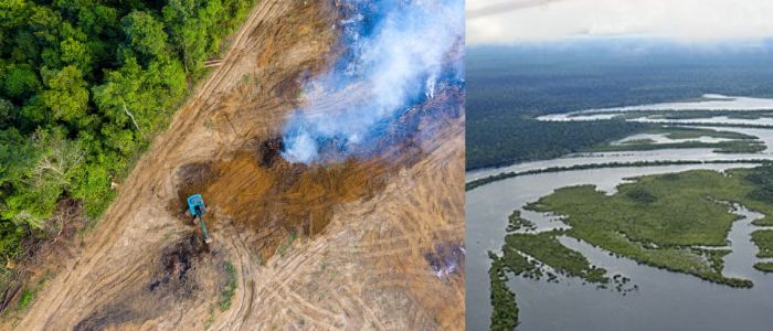 Amazon Nears Point of No Return, Warns Climate Scientist